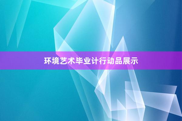 环境艺术毕业计行动品展示