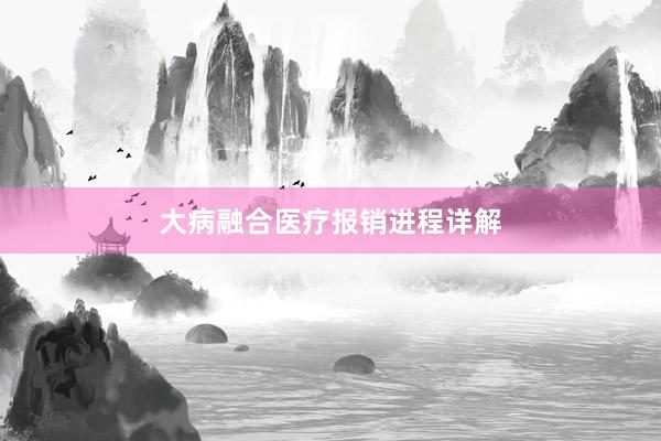 大病融合医疗报销进程详解