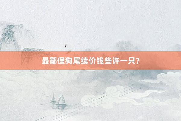 最鄙俚狗尾续价钱些许一只？