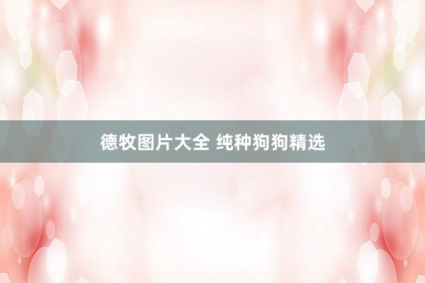 德牧图片大全 纯种狗狗精选